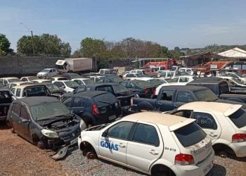 Governo de Goiás abre leilão de 185 veículos inservíveis; veja como participar