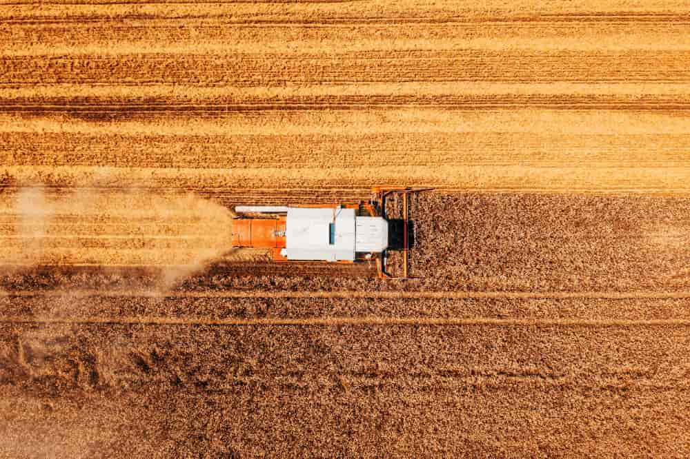 produção agrícola 