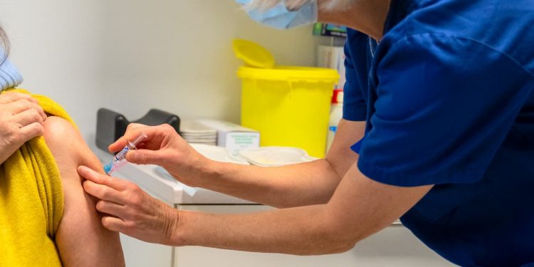 Febre Amarela: Goiás realiza semana de vacinação após confirmação da doença em primatas
