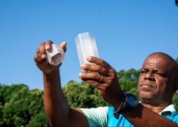 Goiás realiza soltura de mosquitos Aedes aegypti que não transmitem doenças