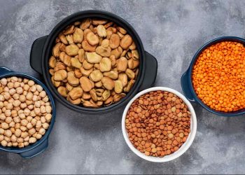 Goiânia tem loja autuada por vender alimentos vencidos para pets