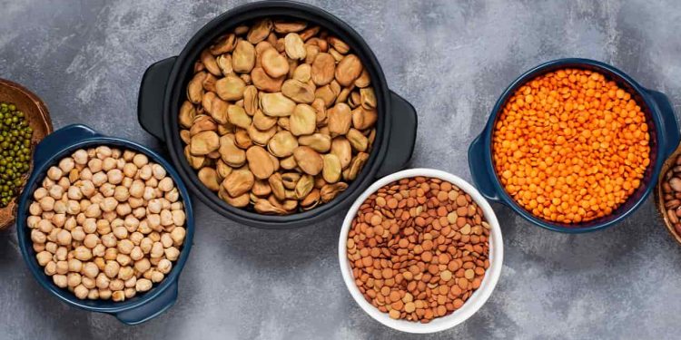 Goiânia tem loja autuada por vender alimentos vencidos para pets