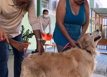 Goiânia terá 288 postos de vacinação antirrábica para cães e gatos em outubro; veja onde