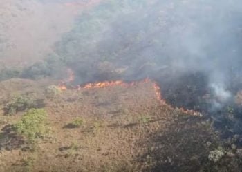 Incêndio atinge a Chapada dos Veadeiros e consome mais de 2 mil hectares