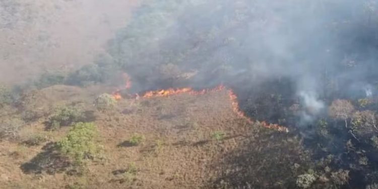 Incêndio atinge a Chapada dos Veadeiros e consome mais de 2 mil hectares