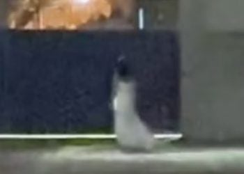 Mulher vestida de noiva é flagrada caminhando em frente a cemitério em Goiás; vídeo
