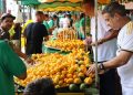 5ª edição da Festa do Pequi celebra cultura, gastronomia e sustentabilidade em Goiás
