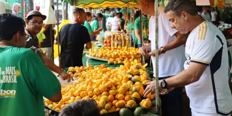 5ª edição da Festa do Pequi celebra cultura, gastronomia e sustentabilidade em Goiás
