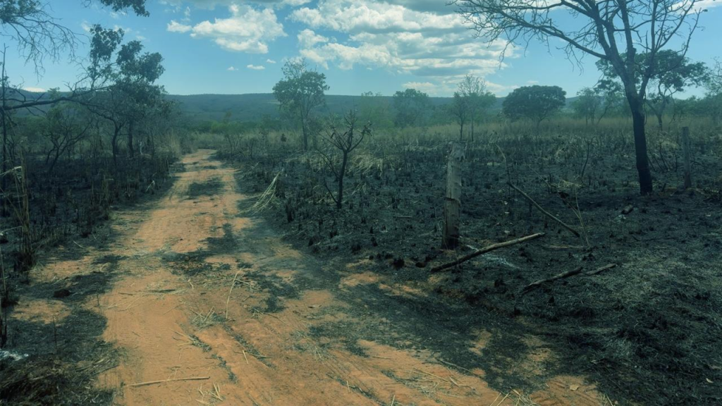incêndios Chapada dos Veadeiros