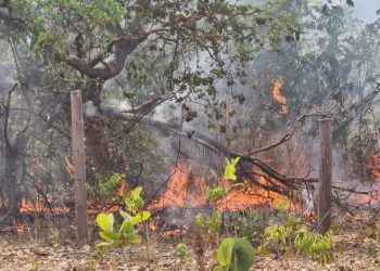 Incêndios na Chapada dos Veadeiros: dois são presos e multas podem chegar a R$ 50 milhões