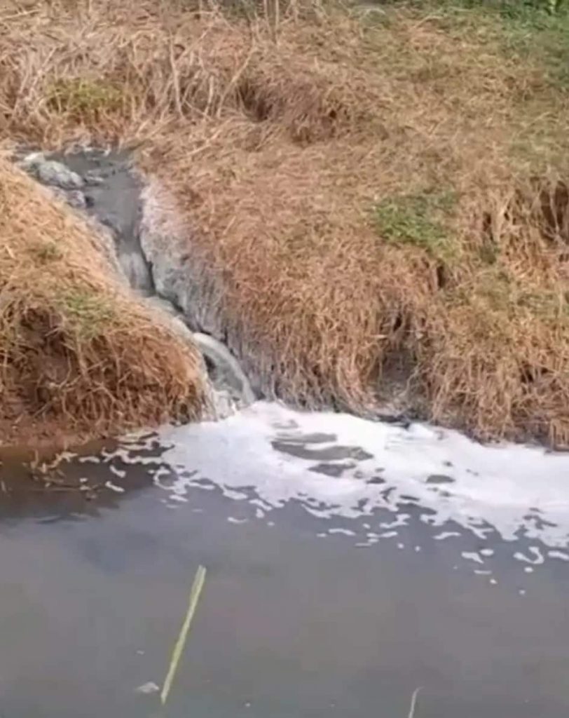 córrego fazendinha em Trindade