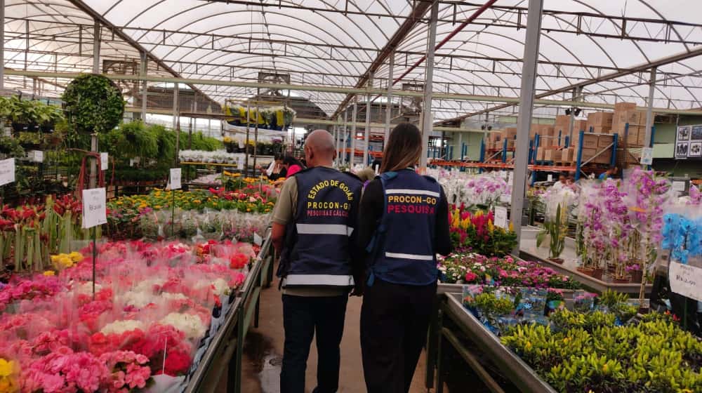 pesquisa preço de flores Dia de Finados