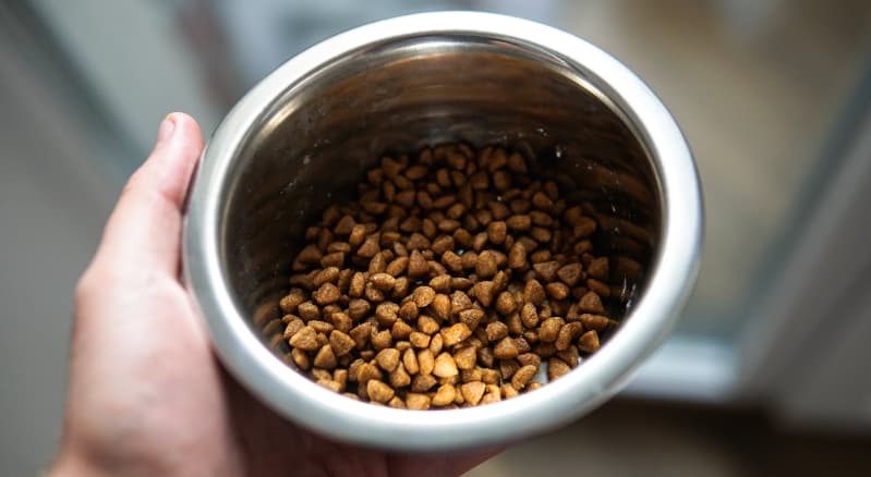 Produtos para pets