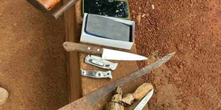 Homem é preso após matar caseiro e invadir fazendas em Goiás