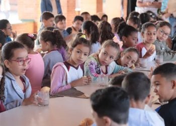 Renovação de matrículas de alunos veteranos começa na rede municipal de Aparecida