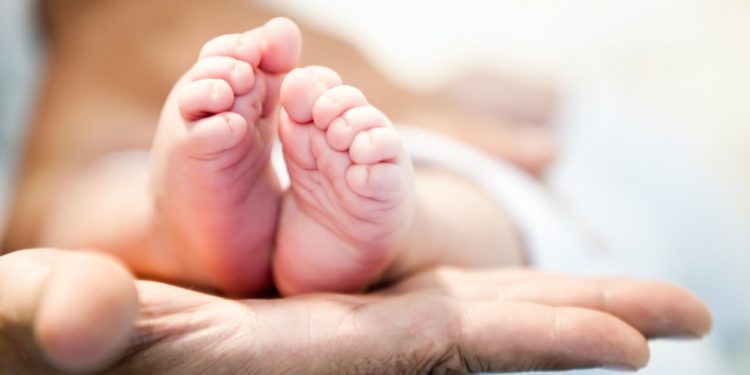 Saiba quais são os nomes e sobrenomes mais comuns em Goiás