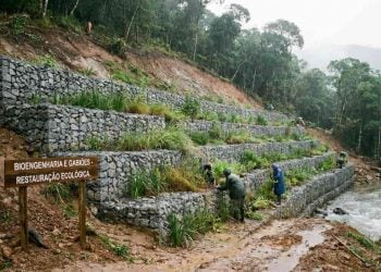 Segurança geotécnica: tecnologias de contenção de taludes evitam riscos e otimizam uso do solo urbano