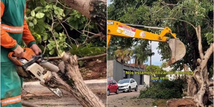 Prefeitura de Crixás decreta estado de calamidade pública após temporal causar estragos na cidade