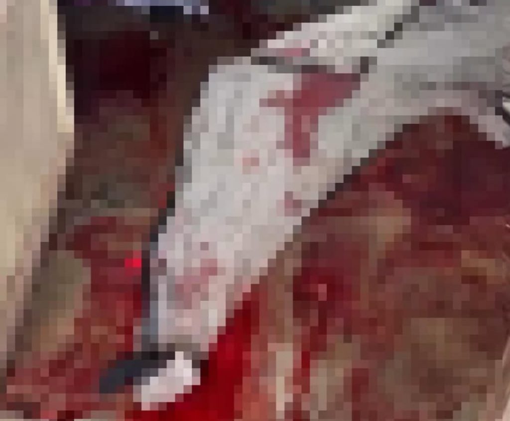 jovem morta dentro de casa