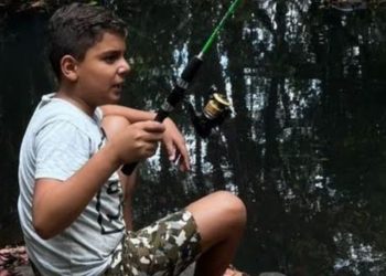 Morre menino de 9 anos que foi picado por abelhas da cabeça aos pés em Catalão