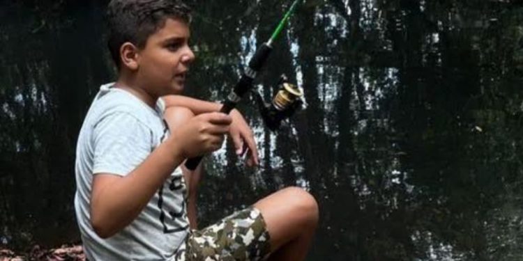Morre menino de 9 anos que foi picado por abelhas da cabeça aos pés em Catalão