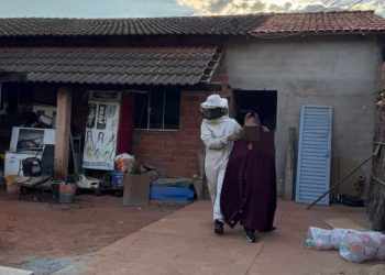 Cerca de 40 pessoas são atacadas por enxame de abelhas na zona rural de Piracanjuba