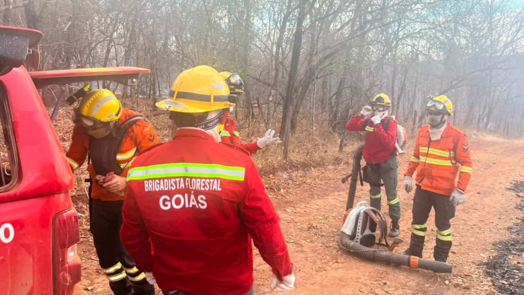 Combate a incêndio florestal