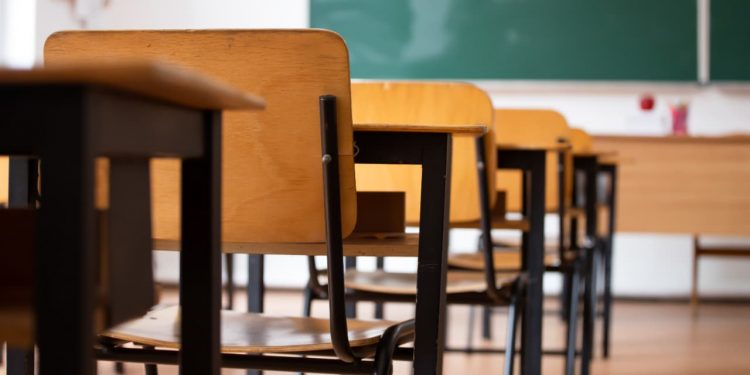 Goiânia atinge nota 6,6 no Ideb 2025 e entra no top 5 entre capitais brasileiras
