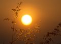 Fim de semana terá sol e calor em Goiás; temperatura pode chegar a 38°C em Goiânia